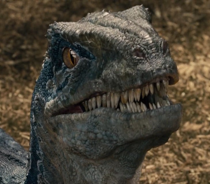 Blue dinosaur with dozens of teeth looking ready to attack in Jurassic World.