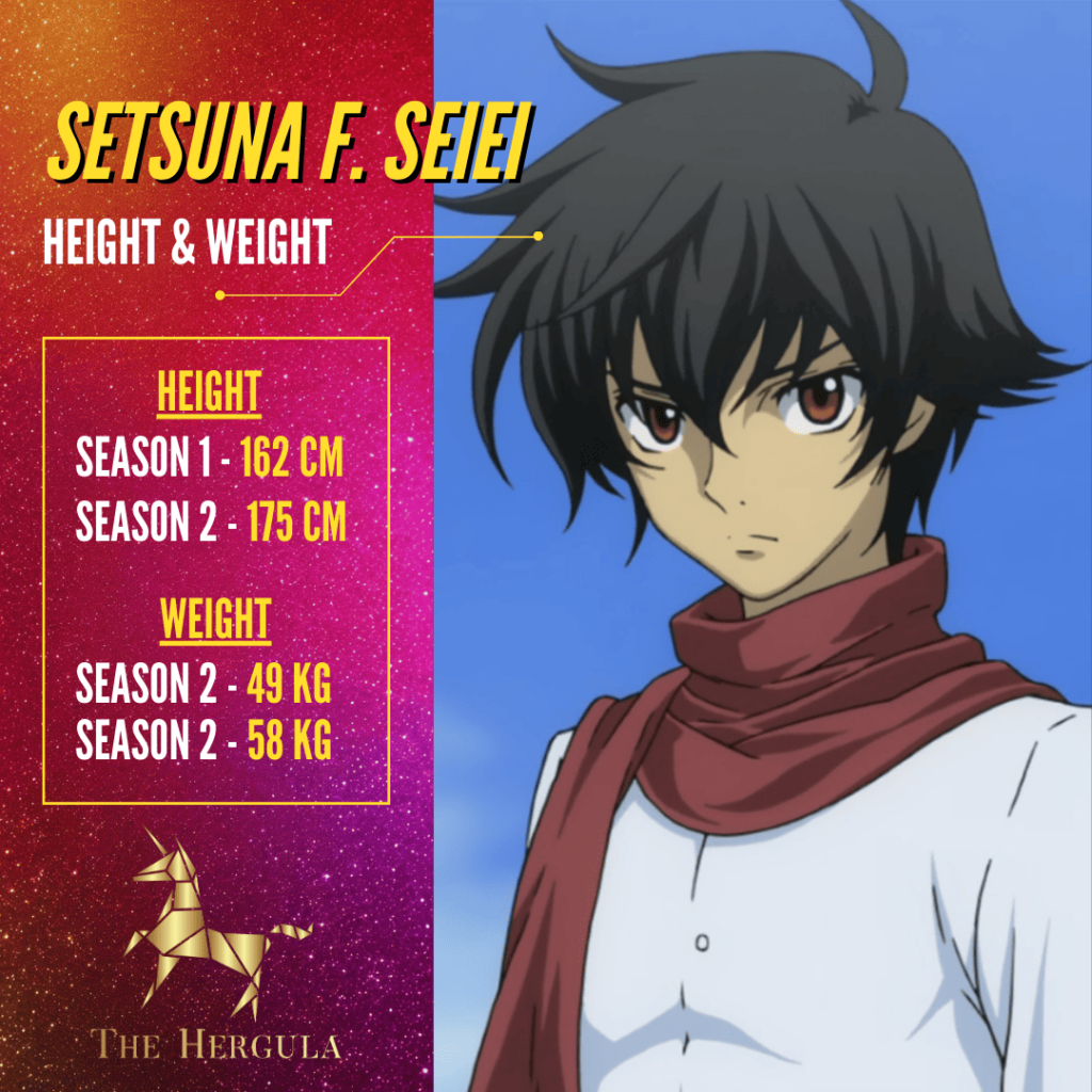 Setsuna F Seiei with his name, height and weight listed on a glitter background with a golden unicorn logo.